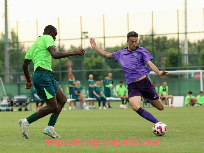 江南体育APP下载-德甲联赛分为几个级别球队结构详解